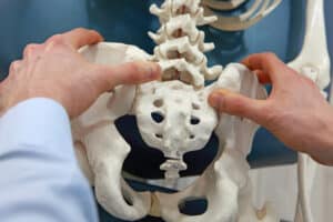 Osteopath holding pelvis on skeleton